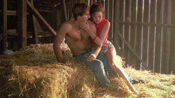 The Americanization of Machiko