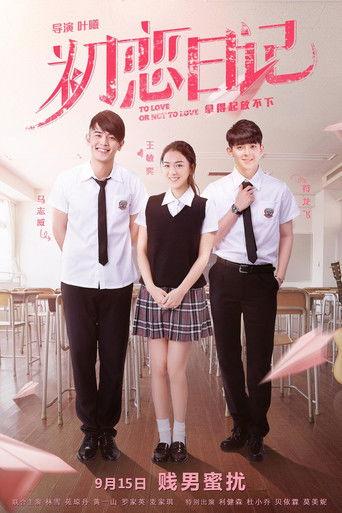 To Love or Not to Love film afişi