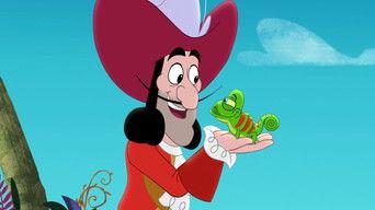 Captain Hook's Hooks / Mr. Smee's Pet