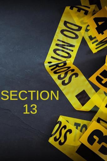 Section 13 dizi afişi