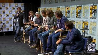 2017 Comic-Con Panel