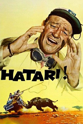 Hatari! film afişi