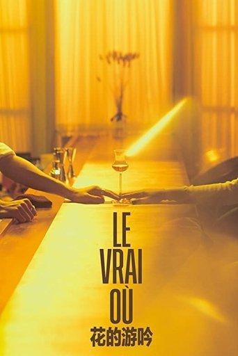 Le Vrai Où film afişi