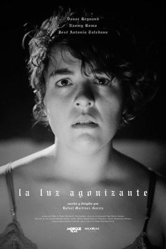 La luz agonizante film afişi