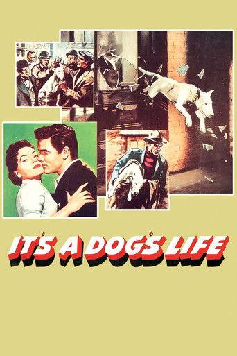 It's a Dog's Life film afişi