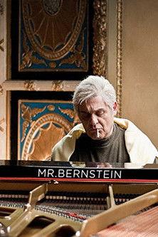 Mr Bernstein film afişi