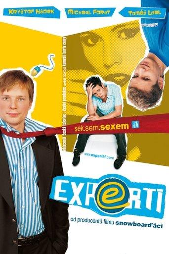 Experti film afişi