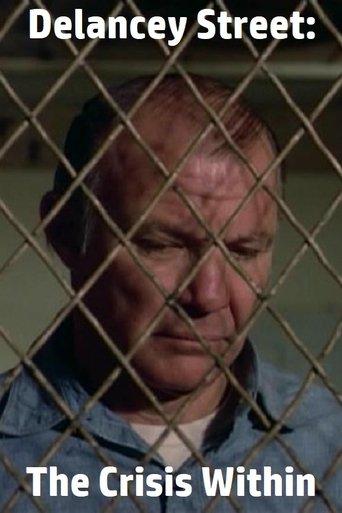 Delancey Street: The Crisis Within film afişi