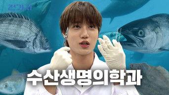 The First Ever Fish Dissection on Korean Variety Show [Jeju National University – Department of Aquatic Life Medicine]