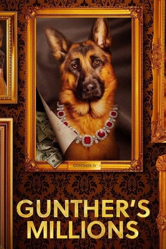 Gunther's Millions dizi afişi