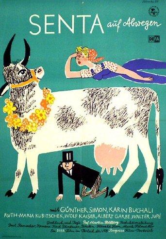 Senta's Gone Missing film afişi