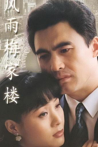 风雨梅家楼 dizi afişi