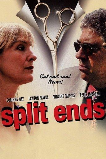 Split Ends film afişi
