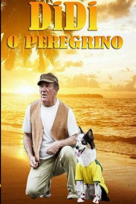 Didi, o Peregrino film afişi