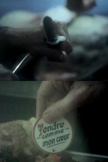 Boucherie fine film afişi