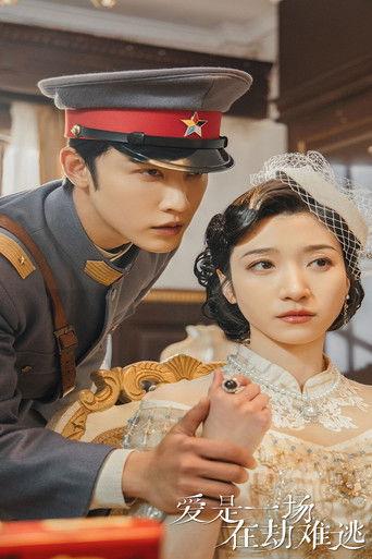 爱是一场在劫难逃 dizi afişi