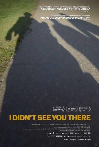 I Didn't See You There film afişi