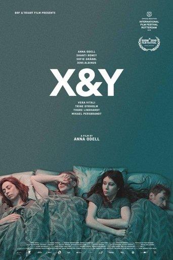 X&Y film afişi