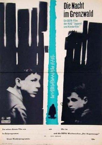 Die Nacht im Grenzwald film afişi