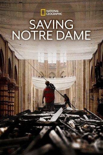 Saving Notre Dame film afişi