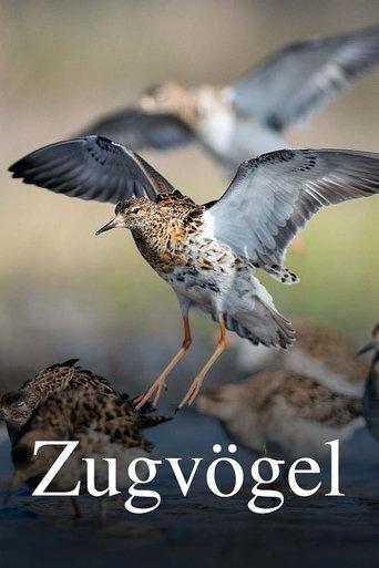 Zugvögel - Ein Jahr vergeht im Flug film afişi