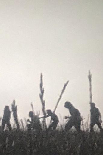 Il Piantone film afişi