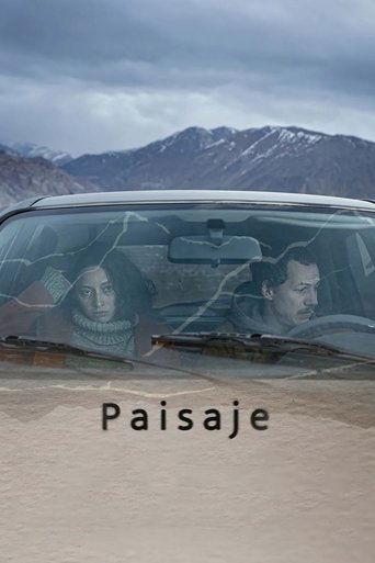 Paisaje film afişi