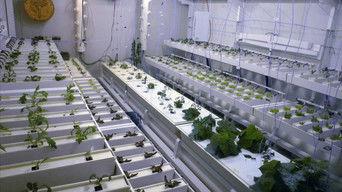 Science at the End of the Earth