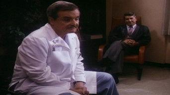 Ewe Can't Go Home Again