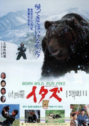 The Forest of the Little Bear film afişi