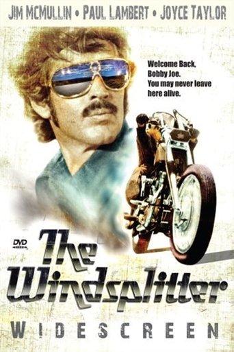 The Windsplitter film afişi