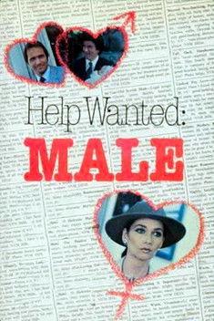 Help Wanted: Male film afişi