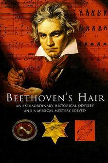 Beethoven's Hair film afişi