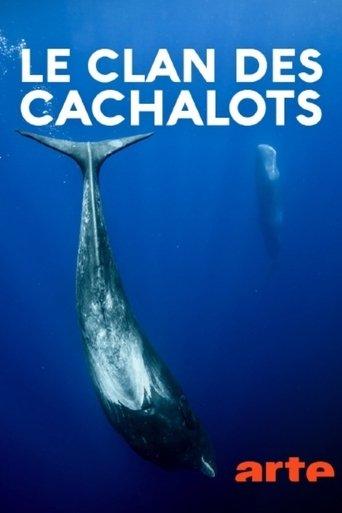 Le clan des cachalots film afişi