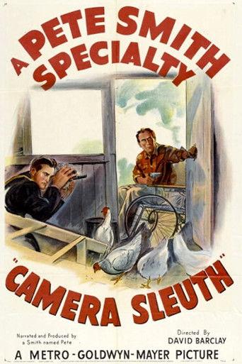 Camera Sleuth film afişi