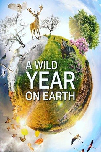 A Wild Year On Earth dizi afişi