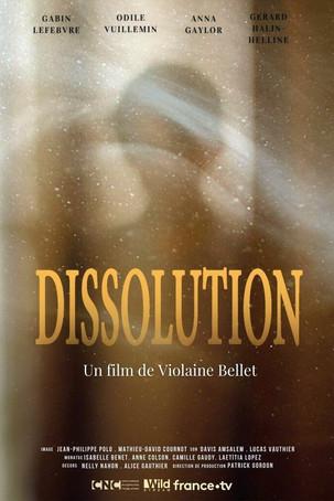 Dissolution film afişi