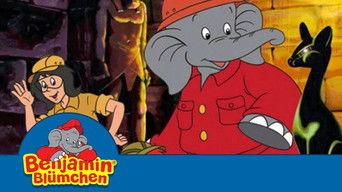 The Secret of the Temple Cat