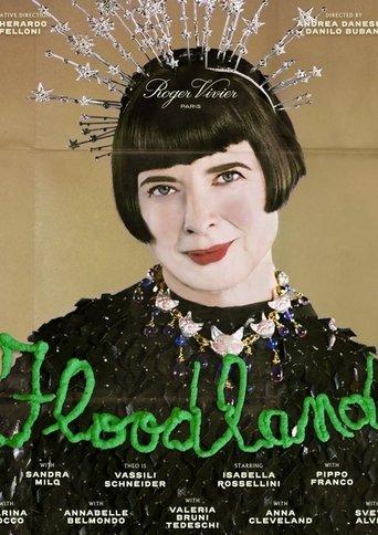 Floodland film afişi