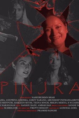 The Cage film afişi