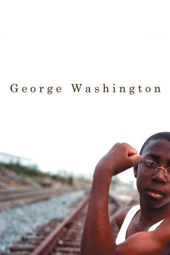 George Washington film afişi
