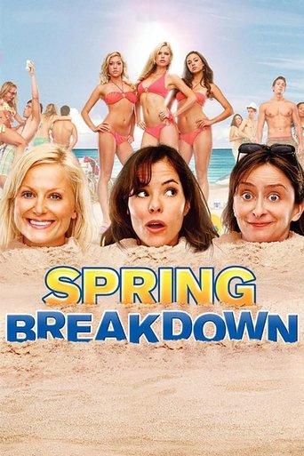 Spring Breakdown film afişi