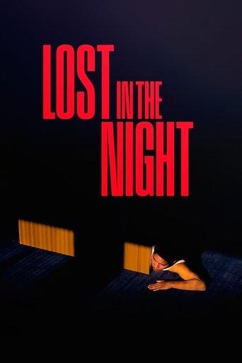 Lost in the Night film afişi