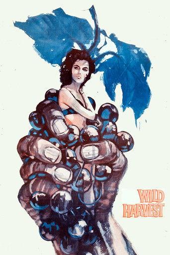 Wild Harvest film afişi