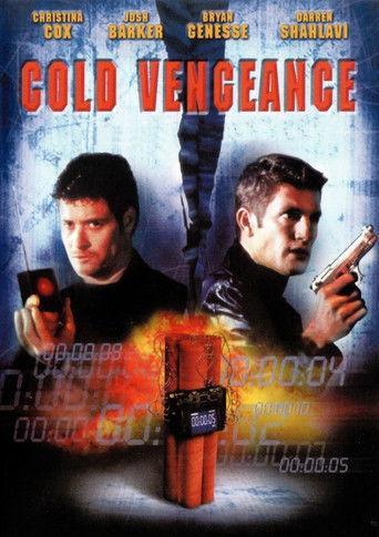 Sometimes a Hero film afişi