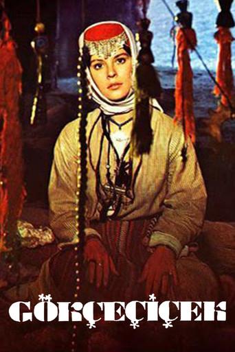 Gökçe Çiçek film afişi