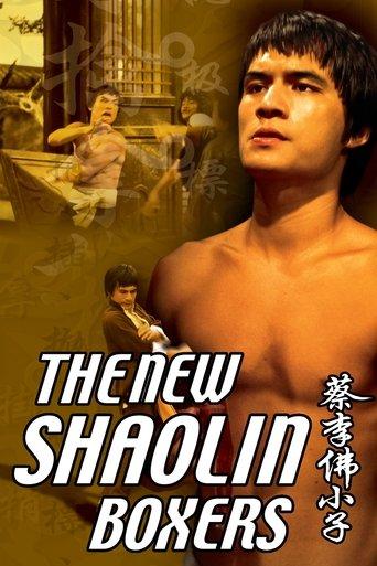 The New Shaolin Boxers film afişi