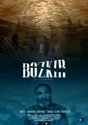 Steppe film afişi