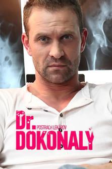 Dr. Dokonalý dizi afişi