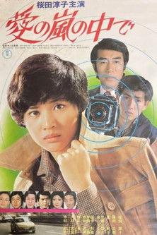 Inside the Storm of Love film afişi